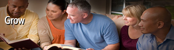 VCC Discipleship Process